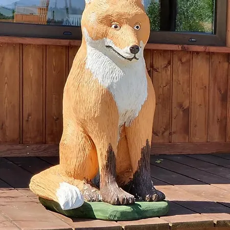 Lisa * Stronie Śląskie