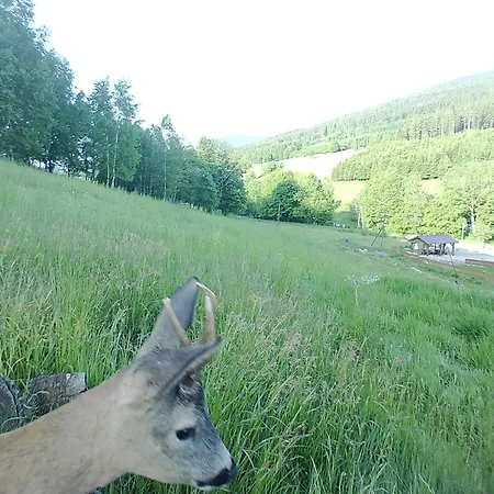 Lisa Stronie Śląskie