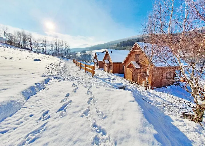 Lisa * Stronie Śląskie