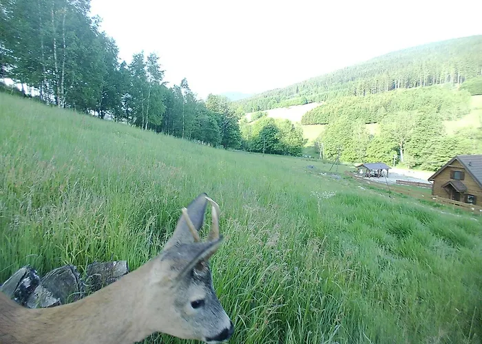 Lisa Stronie Śląskie
